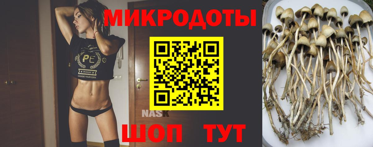 Галлюциногенные грибы Magic Shrooms  купить наркоту  Луга  Вход с VPN 